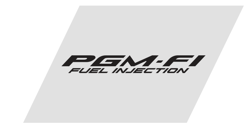 PROGRAMMED  FUEL INJECTION